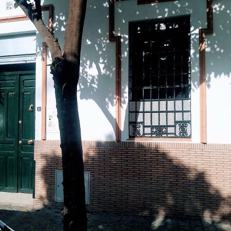 Wish Suite Barrio De Leon En Triana 세비야 외부 사진